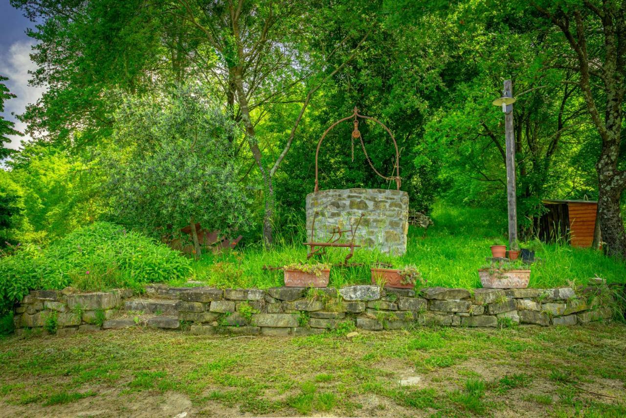 Гостевой дом Casa Al Bosco Sant'Ellero Экстерьер фото
